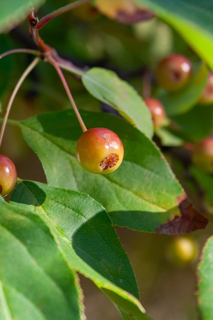 大影响力的 大影响力的