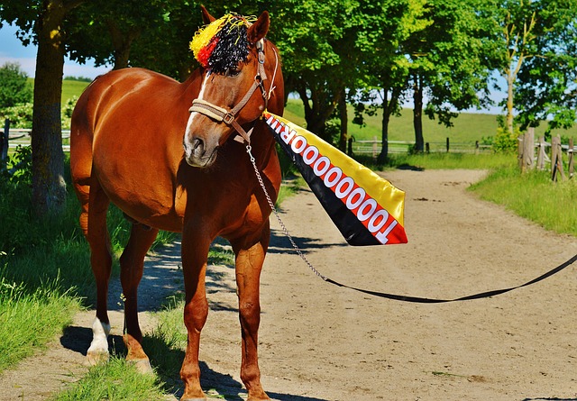 课打造成优 课打造成优