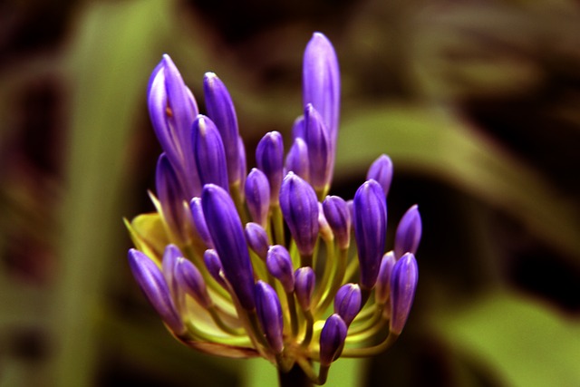 奋斗与永不 奋斗与永不