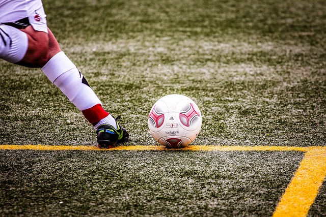 們努力的最 們努力的最