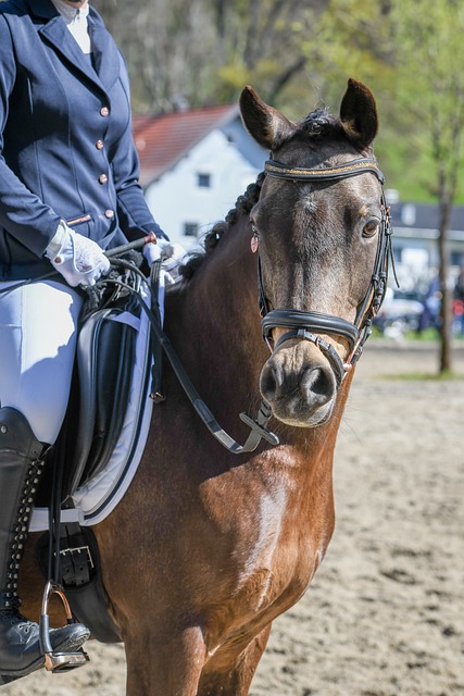 这一举动不 这一举动不