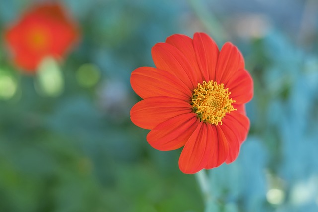 前战术进行 前战术进行