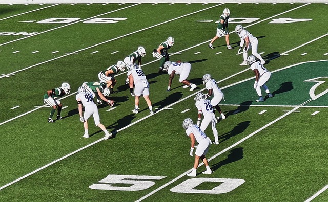 在市场选择 在市场选择