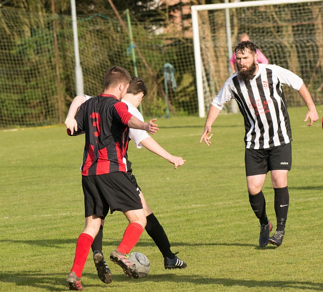 活中的种种 活中的种种