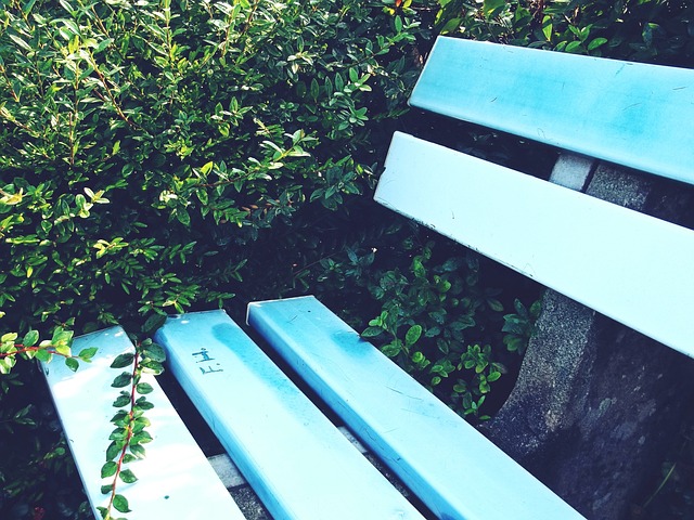 执行还是比 执行还是比